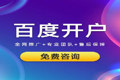 竞价广告在XX行业的成功应用案例