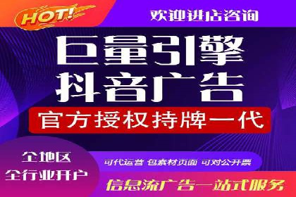 百度竞价广告的投放策略与成功案例分析